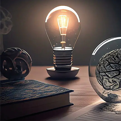 INTELLECTUAL PROPERTY RIGHTS